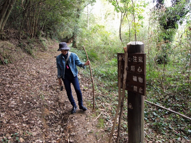 リス探し始まりの地