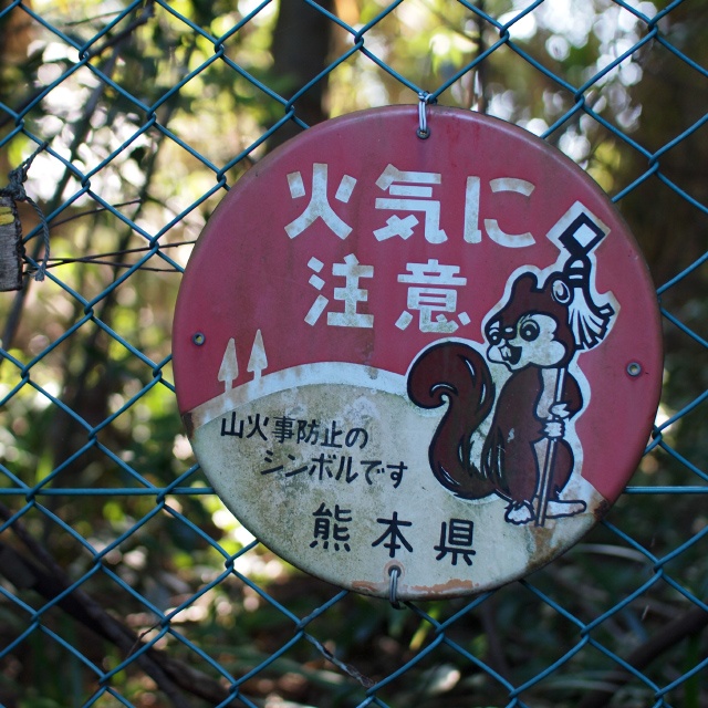 リスがモチーフ！